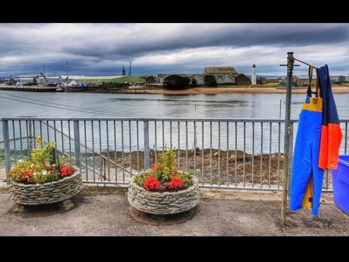 Villa The Thin Seagull 4 Beacon Terrace Ferryden Exterior foto